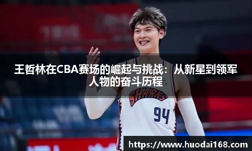 王哲林在CBA赛场的崛起与挑战：从新星到领军人物的奋斗历程